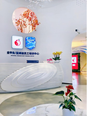 成都办公培训中心